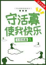竹夫人