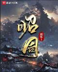 艺术漆墙面效果