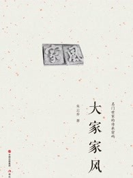 跳舞小说
