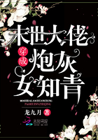 兰斯寻找小光
