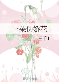 西北有高楼小说