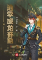 夺艳记宝莲灯全本下载