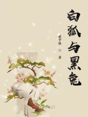 纸飞机BY潭石小说