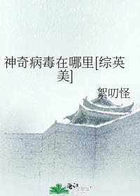 湖南张丽与老外图片
