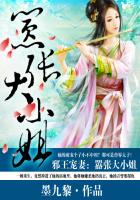 严厉寒宋襄小说
