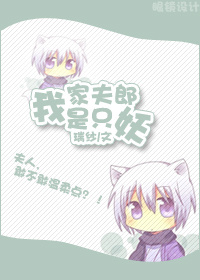 前田由美的视频观看