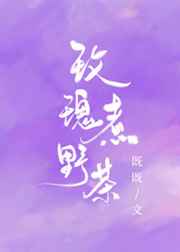 奥迪q4价格