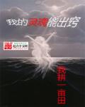 伴读圣经