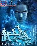 篮球火24电视剧全集在线观看免费
