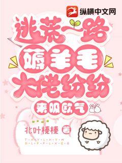 我和丰满的岳的性事