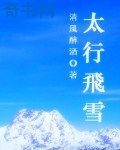 人妇交换出轨小说系列
