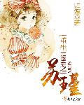 新金平瓶梅国语杨思版
