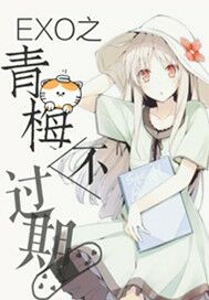 丝袜经典合集