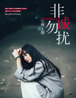 少年阿啊宾文未删