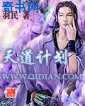 纵欢小说