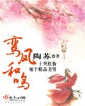 全职高手真人版免费看
