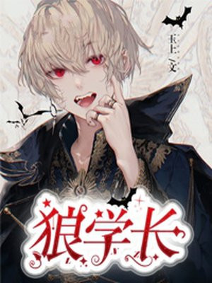 玻璃丝布