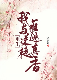 武田家的明国武士