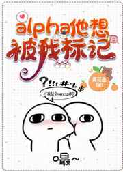 女人的法则免费观看