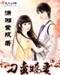 肖奈高hnp