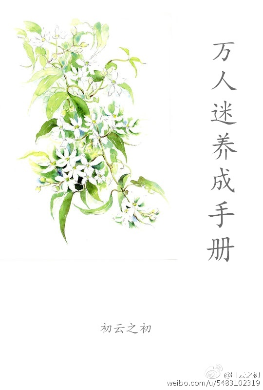 斗罗大陆之琴尘斗罗