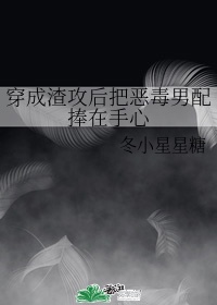 国产真实偷乱小说
