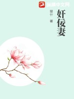 空姐女乘务伦理