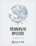 风起苍岚小说全集