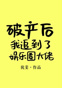 我朋友的老姐2电影