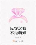 isee下载