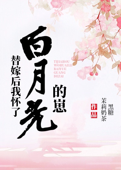 言教授要撞坏了小说阅读免费阅读无