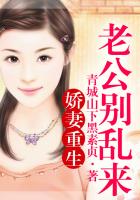 刀剑神域小说下载