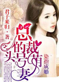 元媛作品集121本微盘