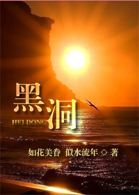 仕途登顶的小说