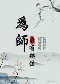 意外有了皇帝的孩子