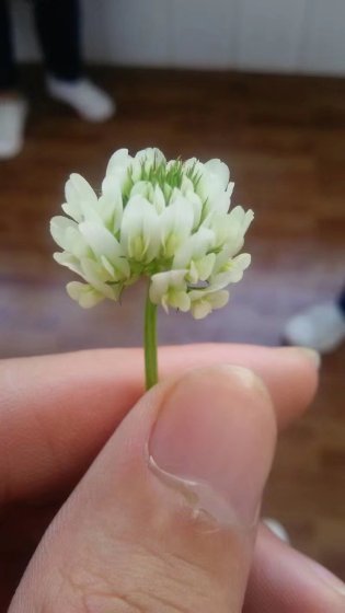 光棍电影伦理片