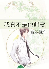 温迪本子