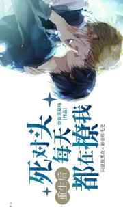 迪达拉图片