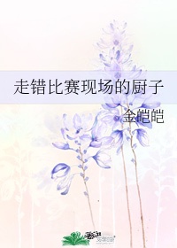 风间由美在线观看免费