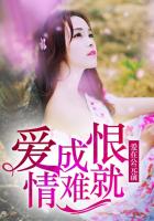 gogo全站高清专业摄像