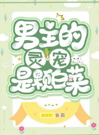 韩剧tv官网电脑版下载