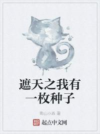 《可不可以不》日本在线看免费