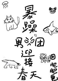 949理论电影大全