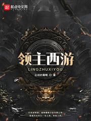 电梯另类性体验