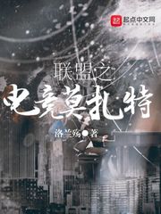 我叫赵甲第剧情介绍