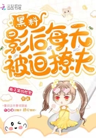 bdsmchinese系列3