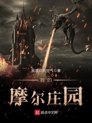 白夜追凶百度云