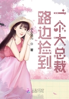 王子的骑士欲晓