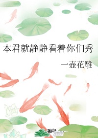 韩娱之巨星时代