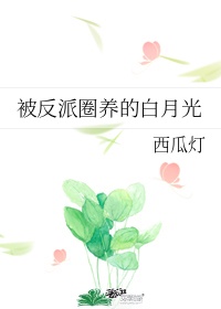 致命偏爱1v2